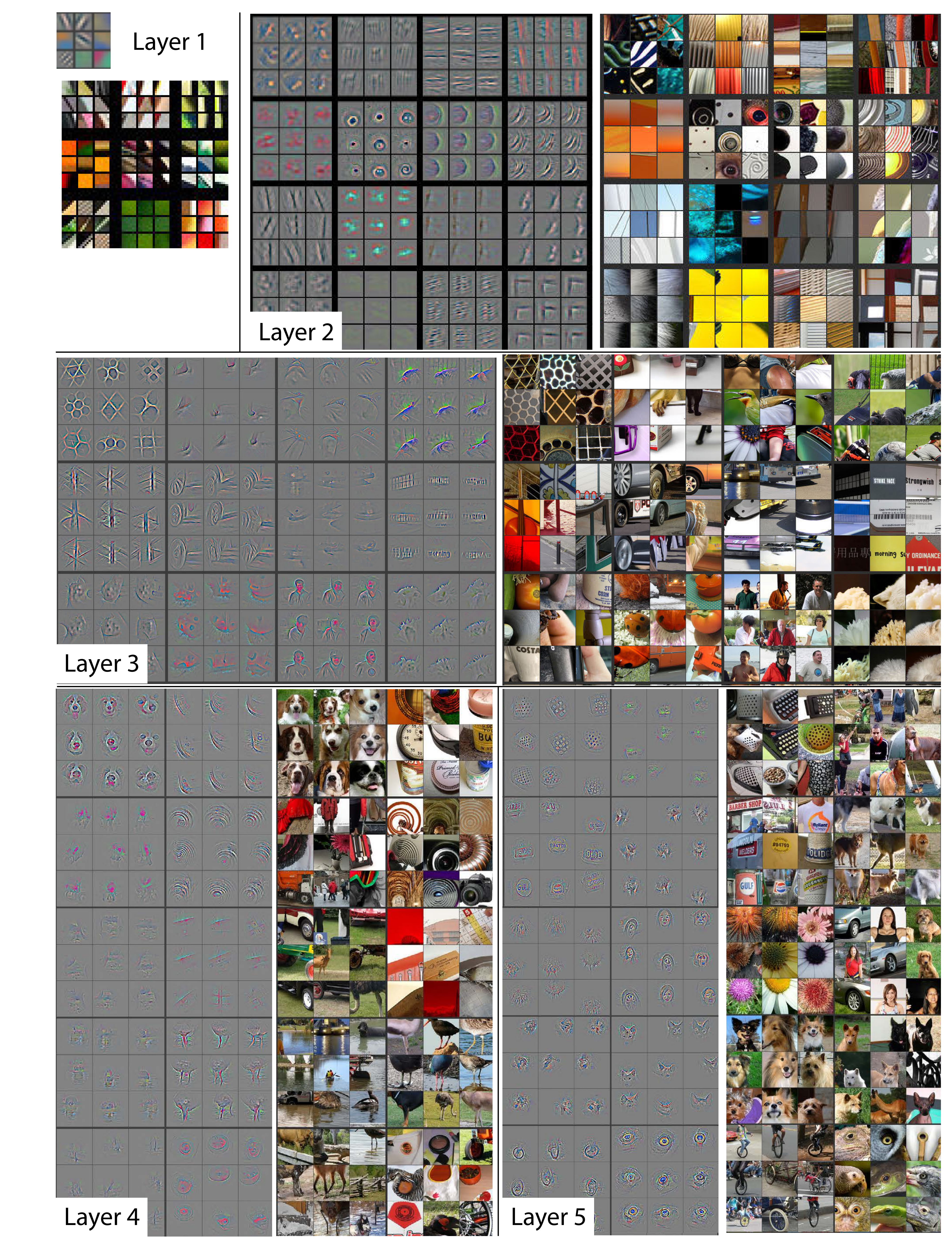 学习特征可视化