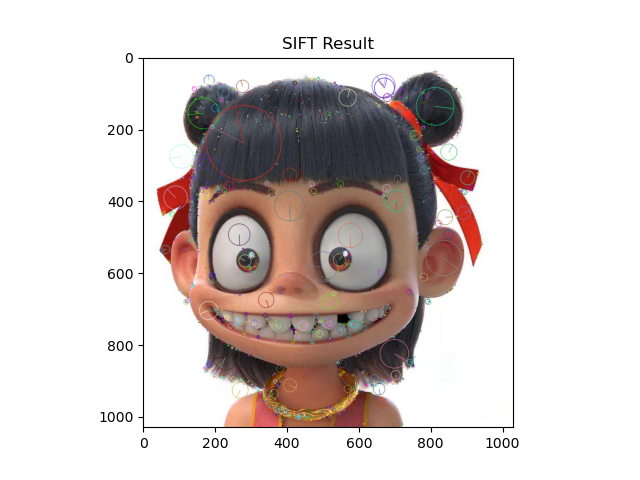 SIFT Result